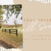 soul-presets-timeless-fall-preset